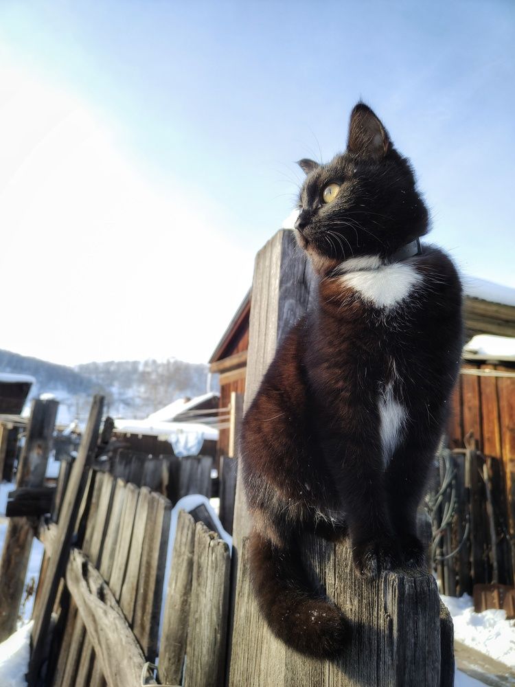 Охраняя периметр