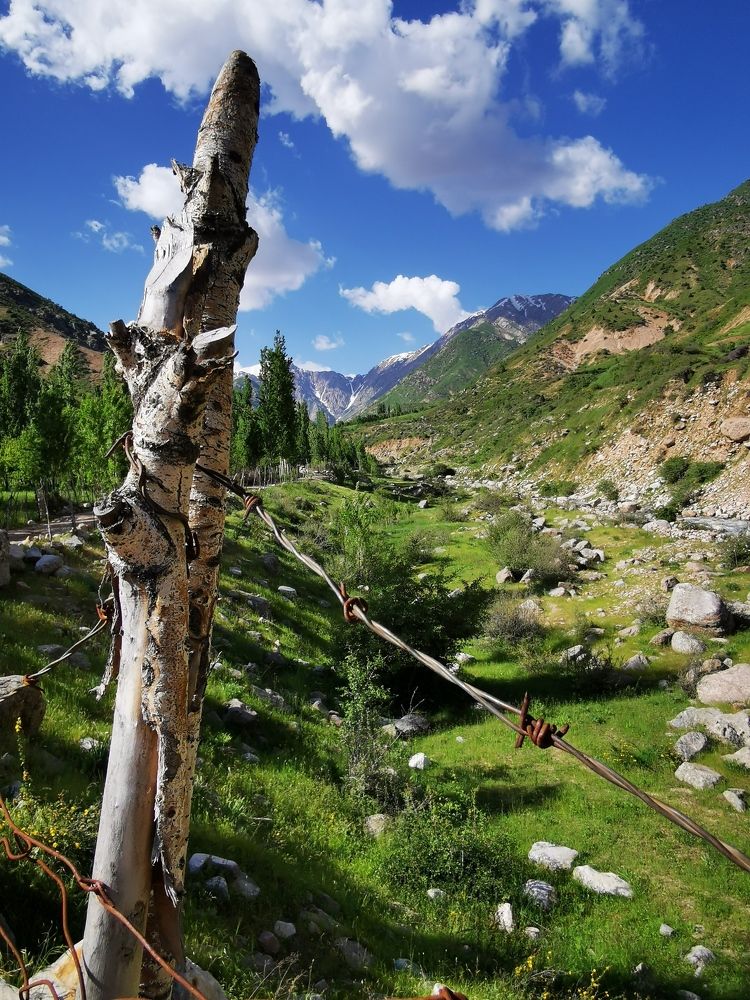 Photograph by Oleg Guchgeldiev