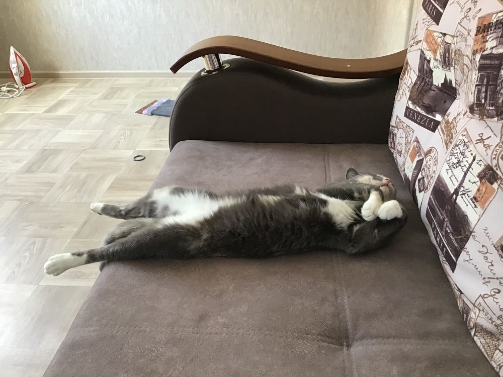 Photograph by Тимур Жилкибаев