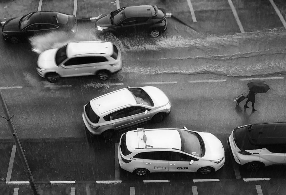 Под дождём...