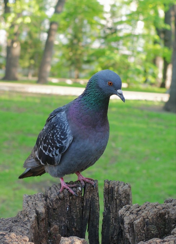 Photograph by Алла