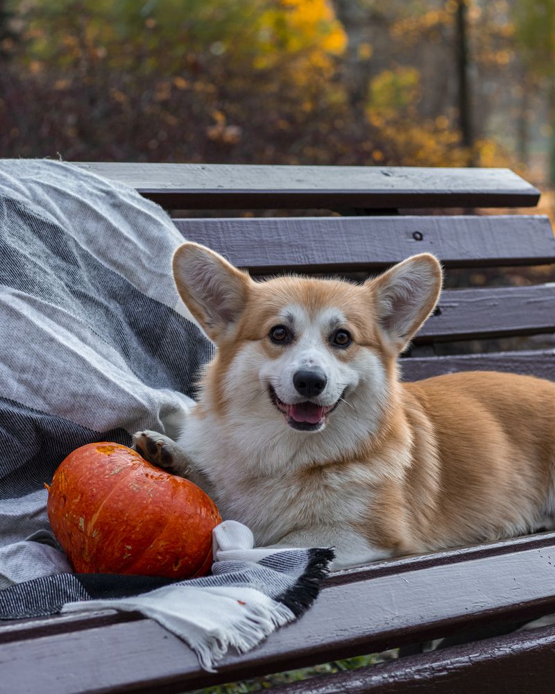 Photograph by Владислав Барышов