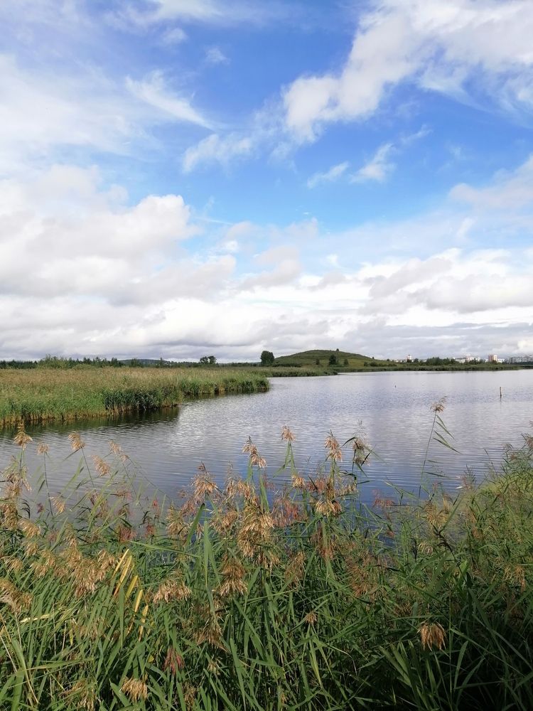 Photograph by Светлана Кудянова