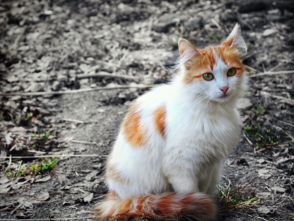 Photograph by Инна Карасева