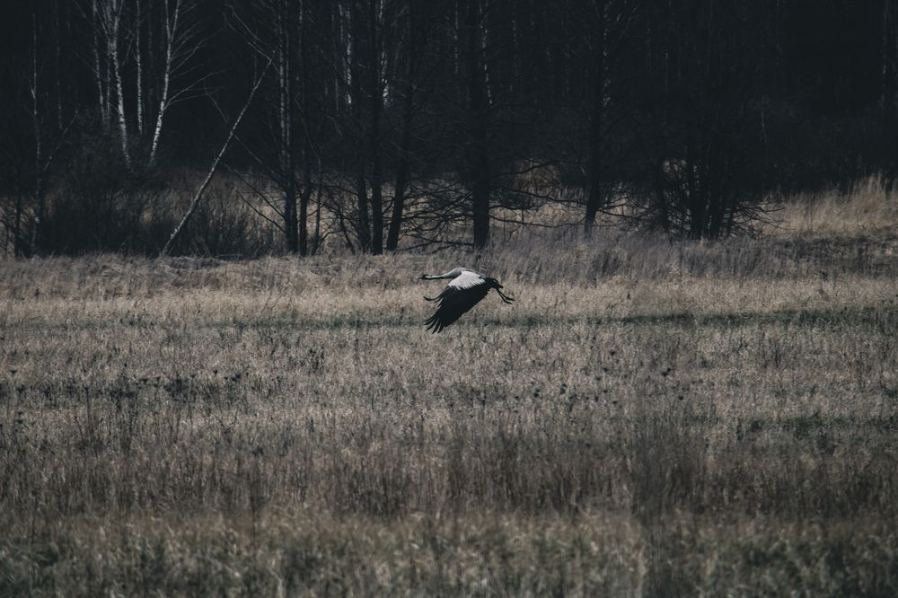 Photograph by Виктор Сердюков