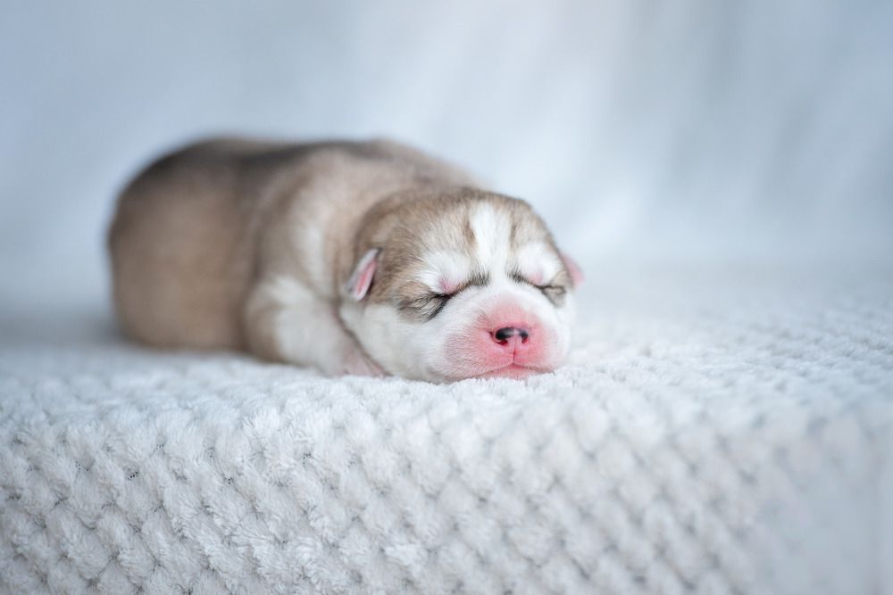 Photograph by Юлия Гасс