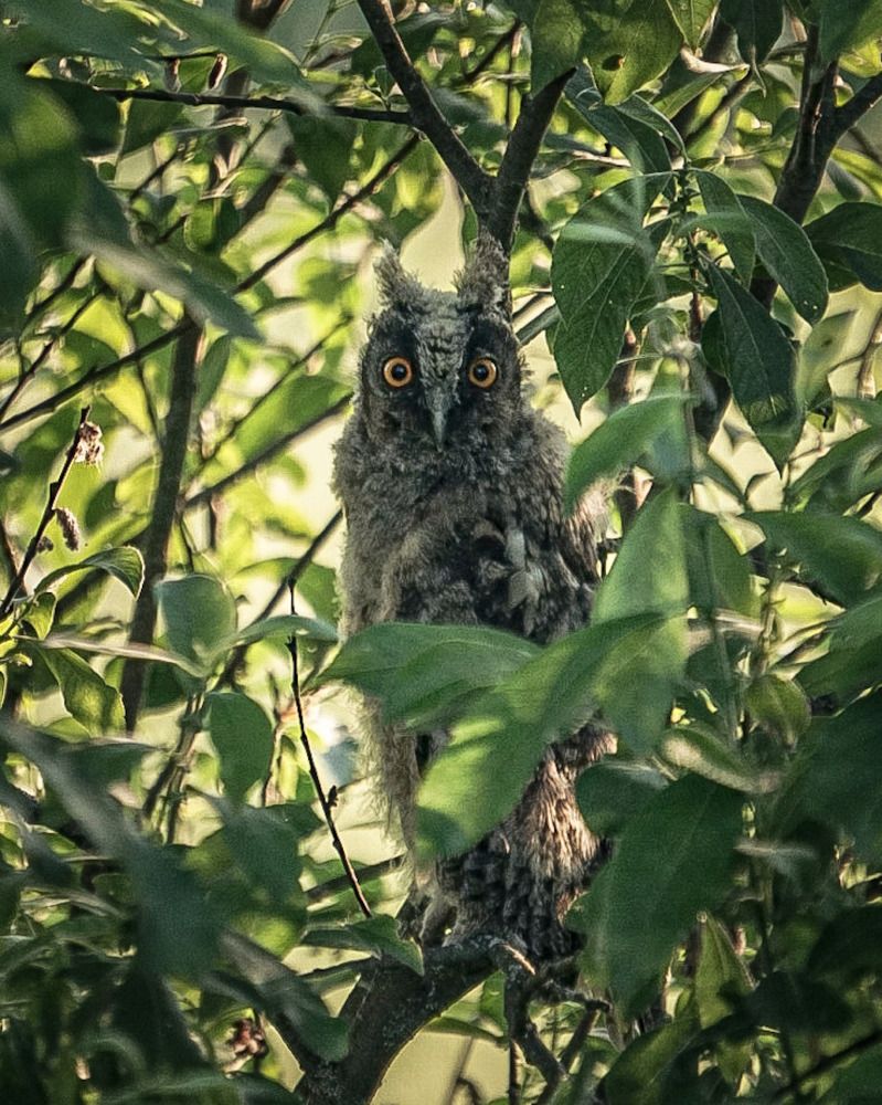 Photograph by T.Ю. Гринько
