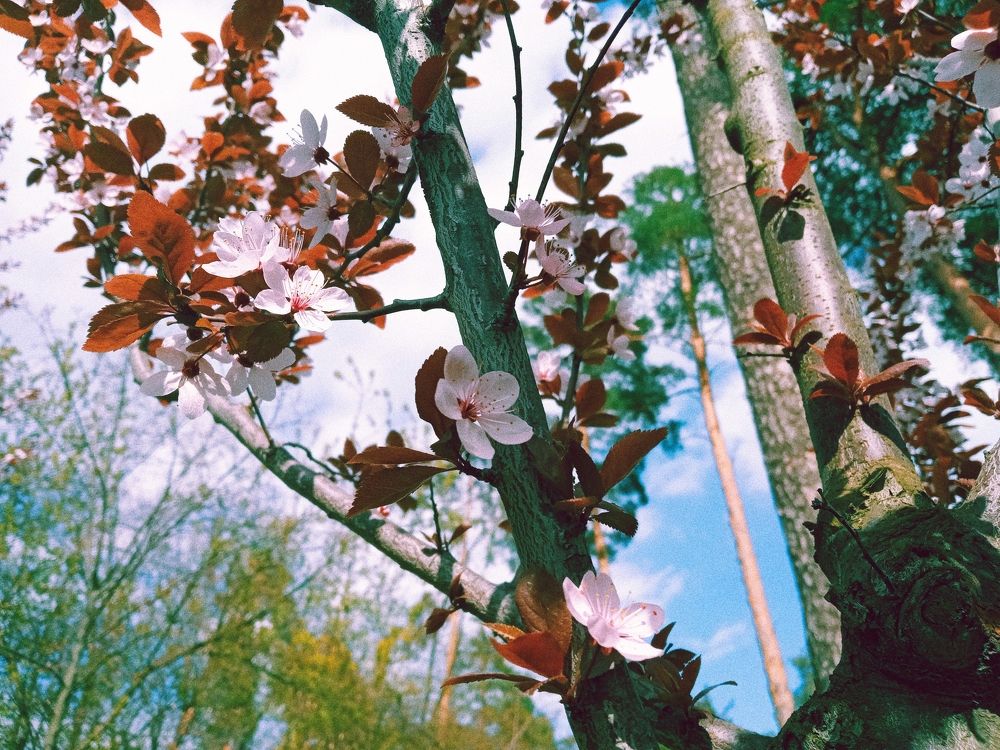 Photograph by Анастасия