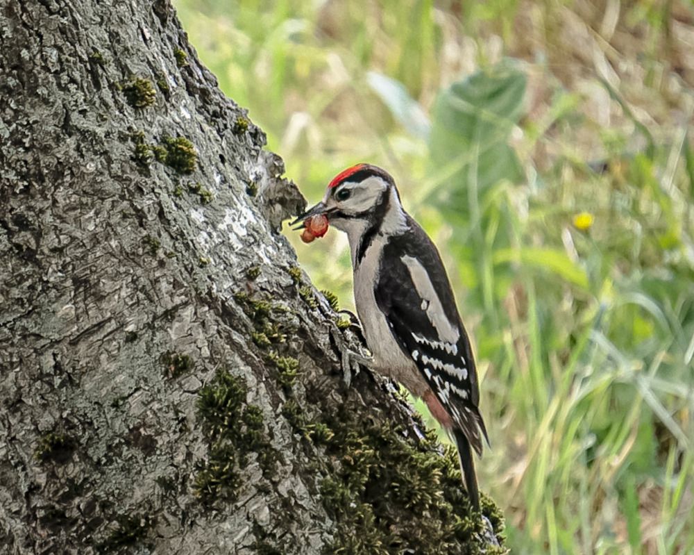 Photograph by Татьяна Гринько