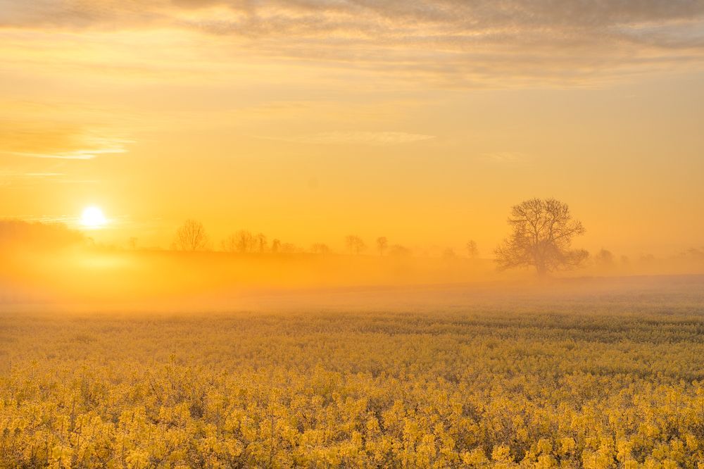 Photograph by LYUDMYLA POKRYSHEN