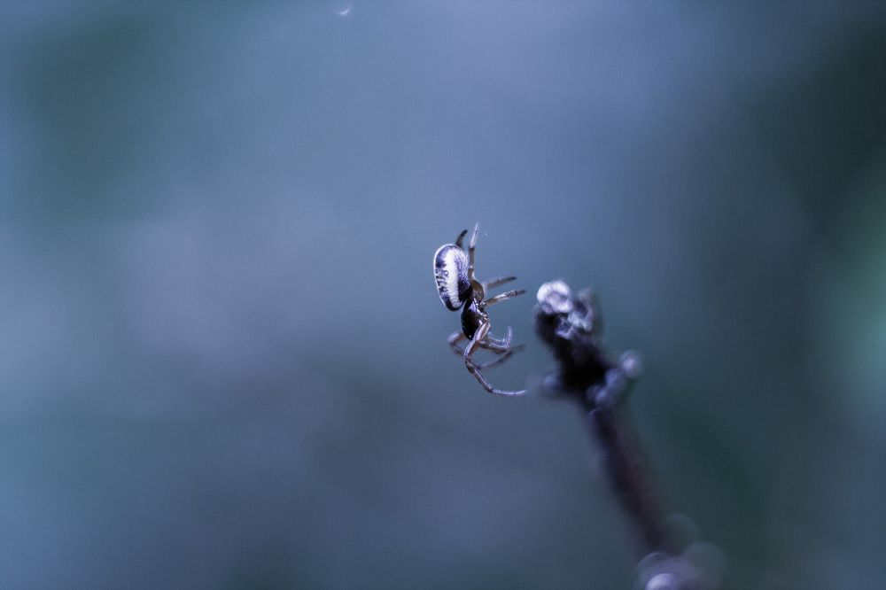 Photograph by Юлия Шустикова