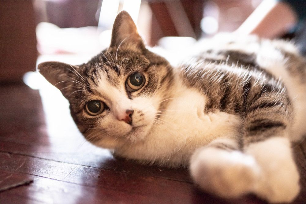 Photograph by Kirill Yakowlew