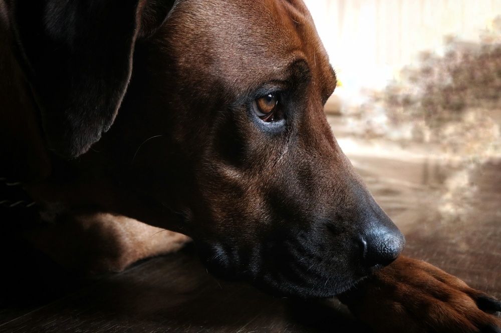 Photograph by Марина Савченко