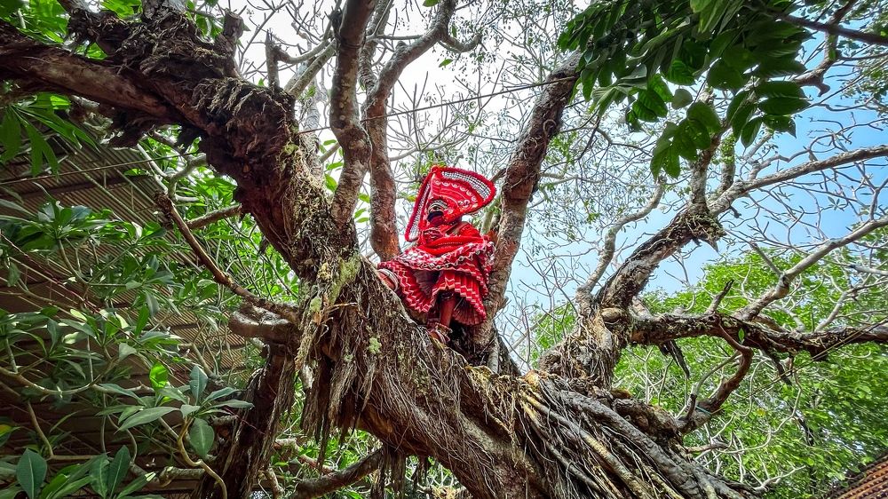 KERALA : GOD'S OWN COUNTRY