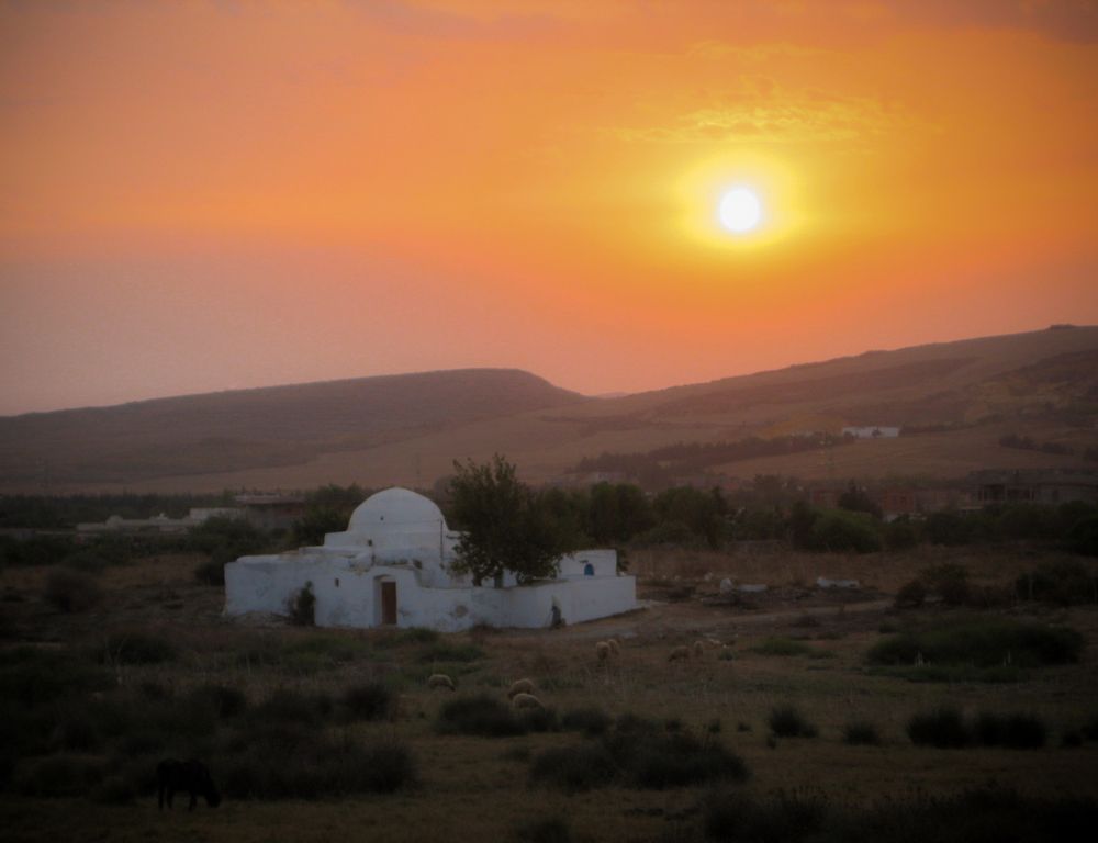 Photograph by All Haroun