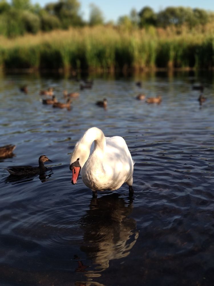 Photograph by Владислав Барышов