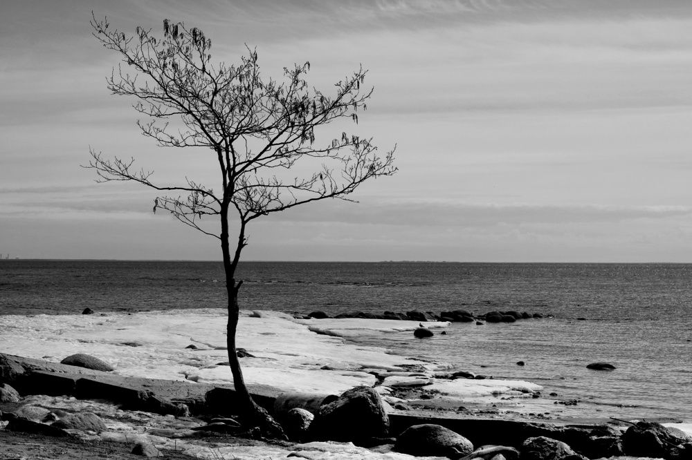 Одиночество