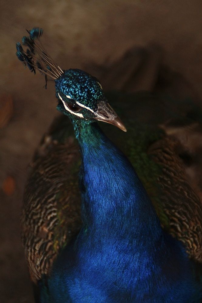 Photograph by Инесса Юровских