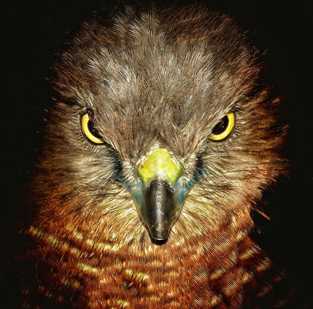 Photograph by Amin Ghaffarian