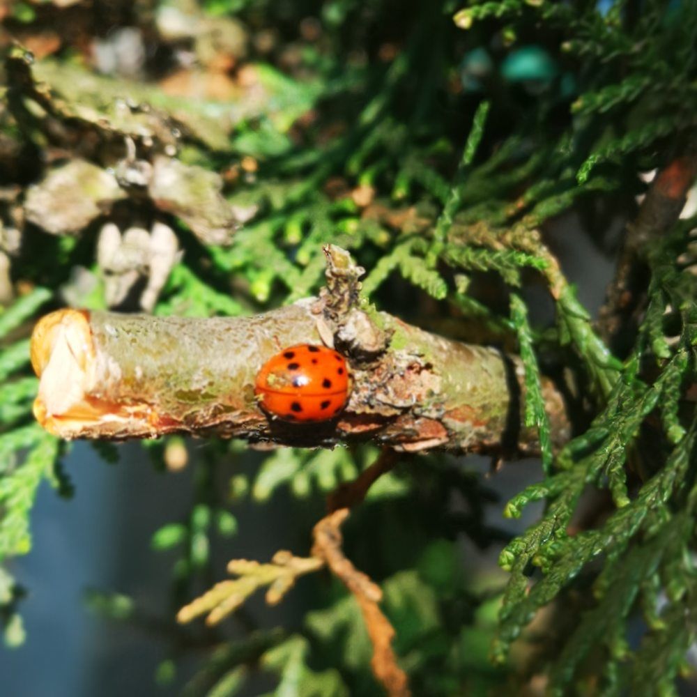 Photograph by Nikolett Mengyi