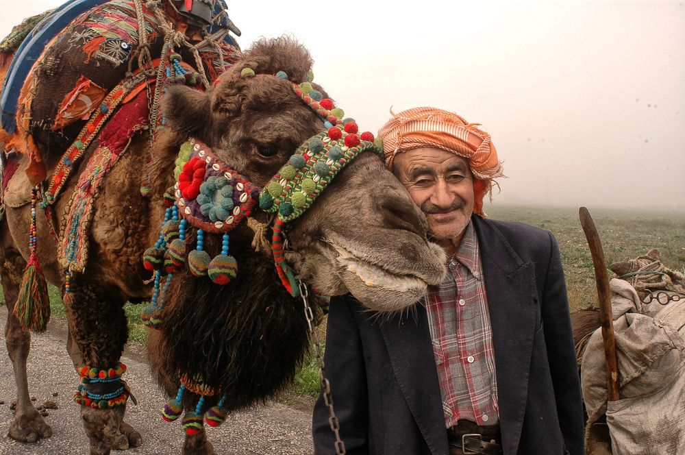 Photograph by Muzaffer Sütlüoğlu