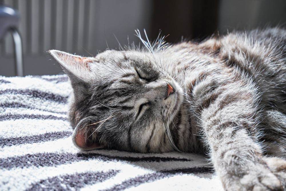 Photograph by Светлана Белозёрова