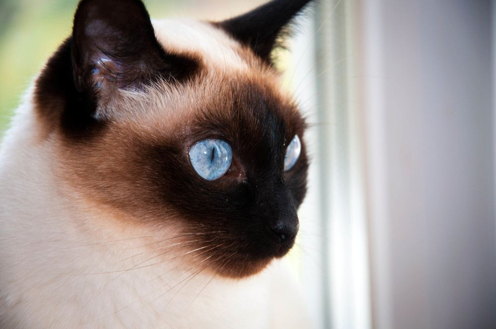 Photograph by Светлана Белозёрова