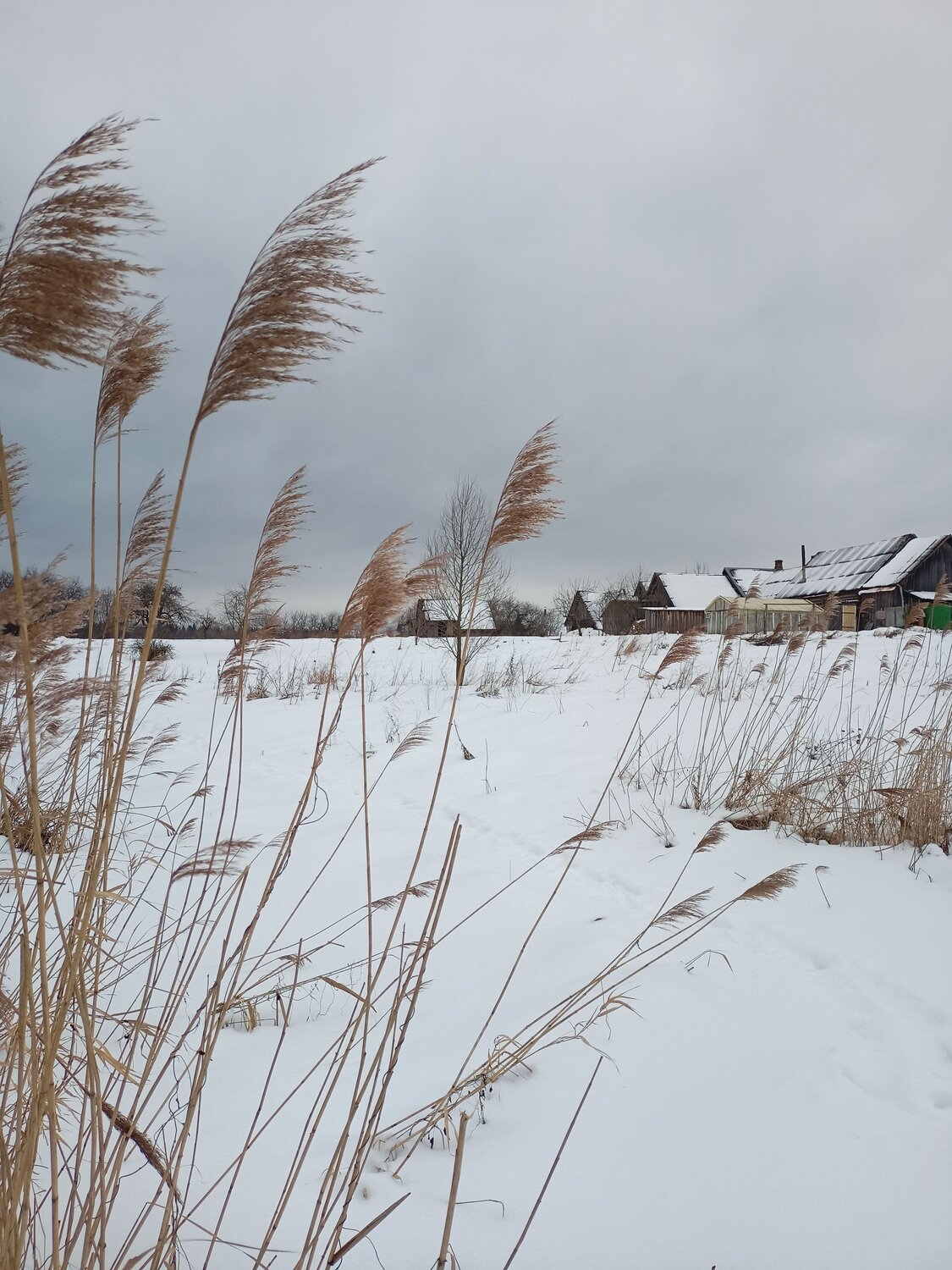 Photo #7532479