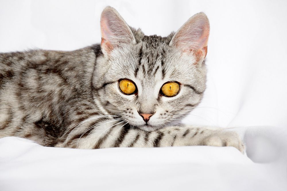 Photograph by Светлана Белозёрова