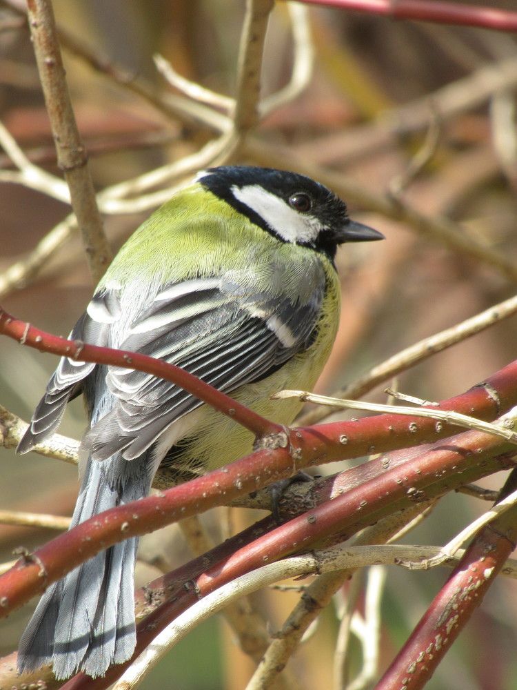 Photograph by Светлана Андреева