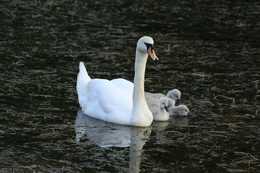 Photograph by Владислав Барышов