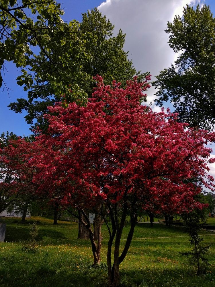 Photograph by Владислав Барышов