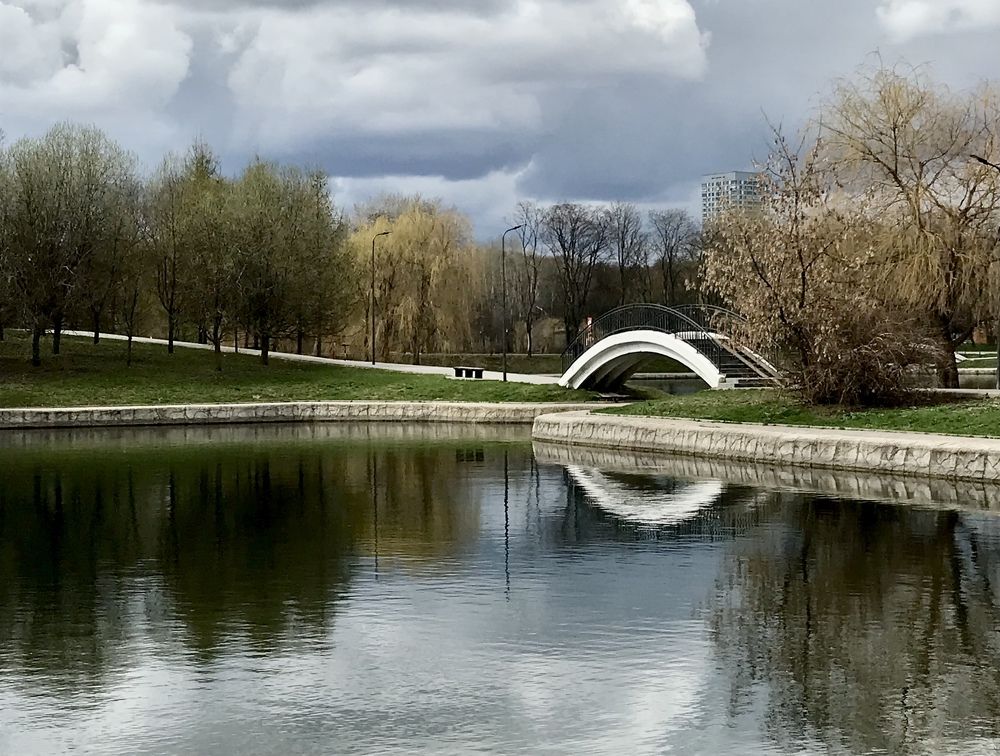 Photograph by Юлия Лис-а