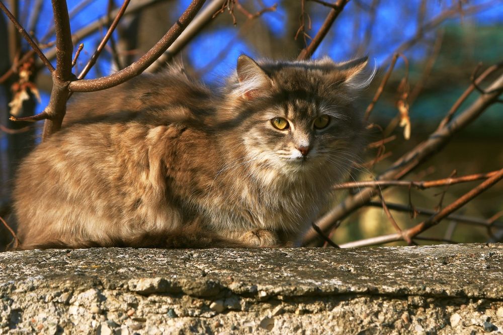 Photograph by Игорь Куленко