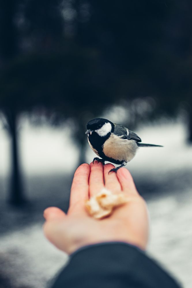 Photograph by Ксения Денисова