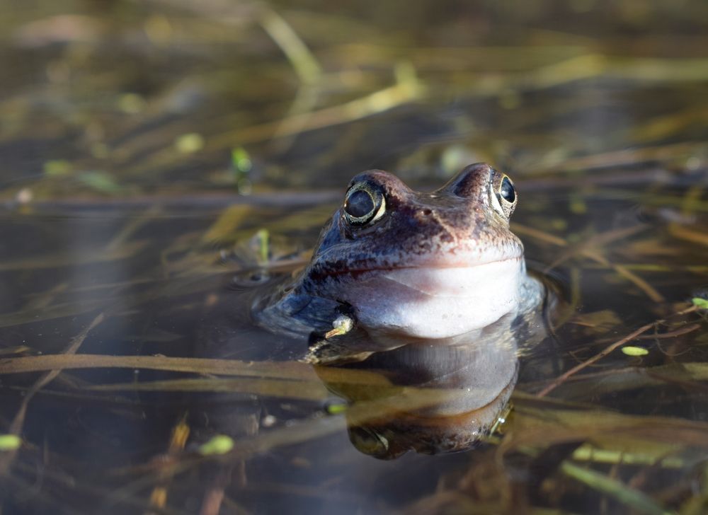 Photograph by Танзиля Завьялова