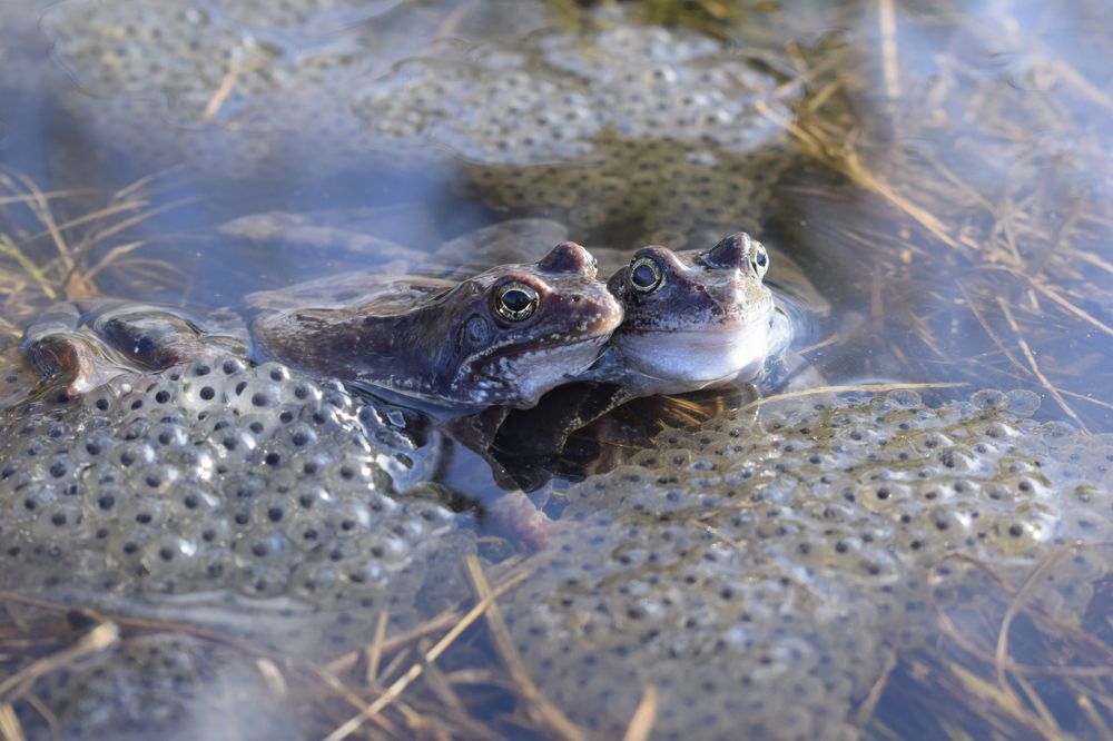 Photograph by Танзиля Завьялова