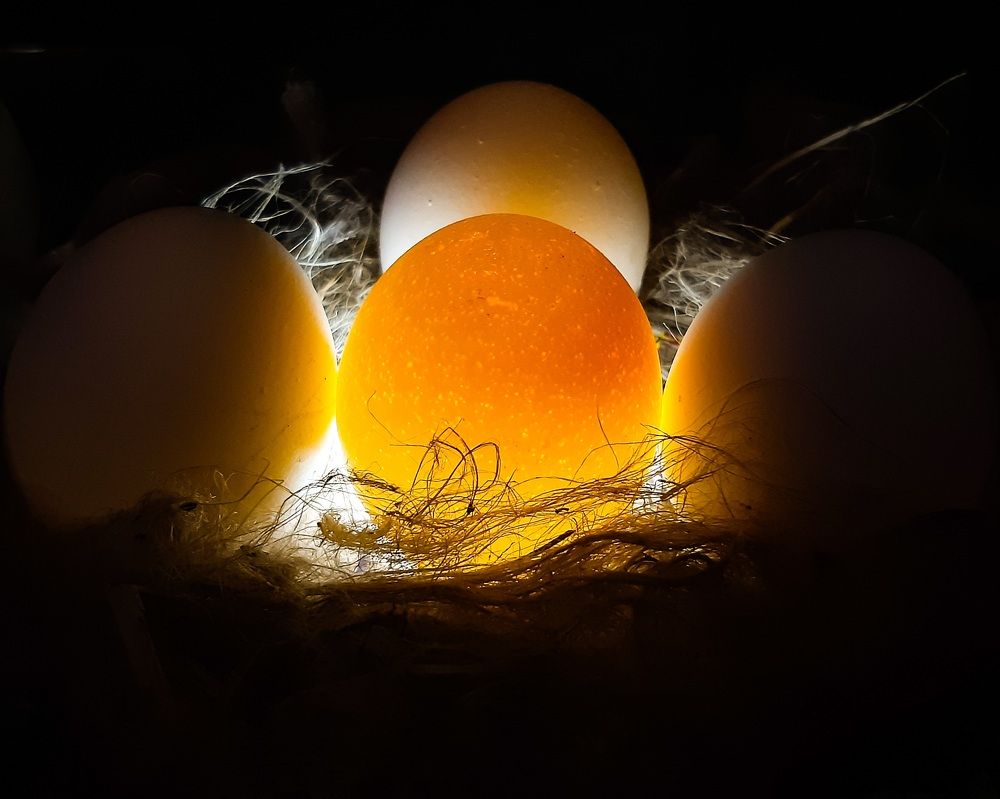 Conceptual photo