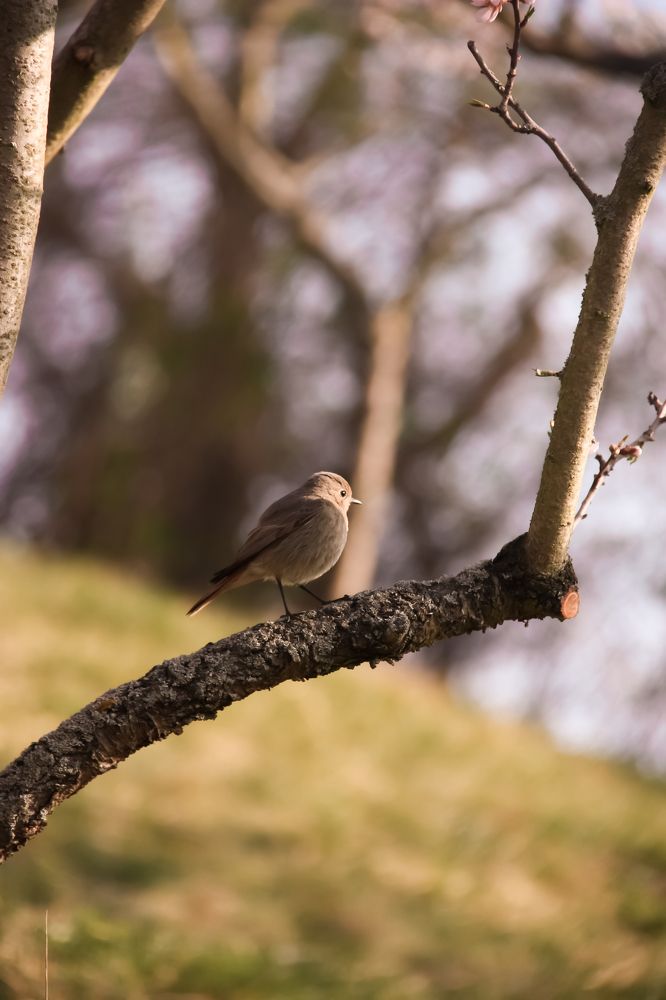 Photograph by Alena Vaganova