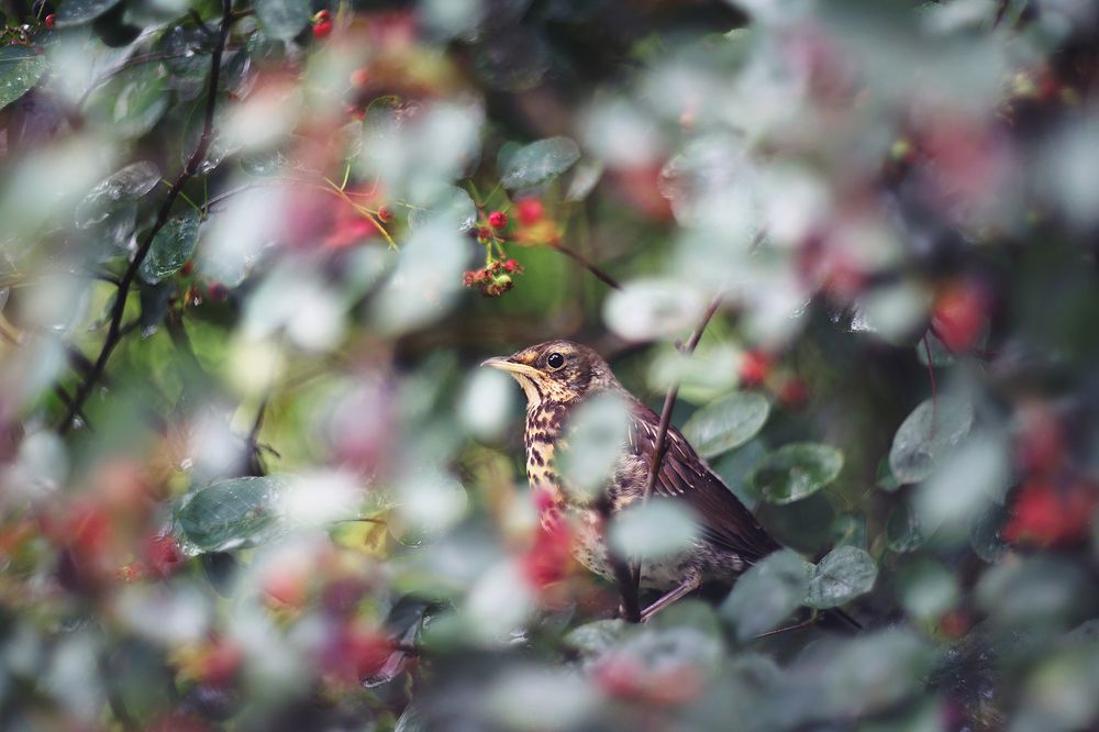 Photograph by Anna Lin