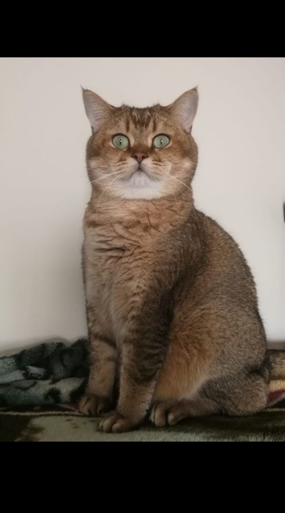 Photograph by Rina Faktor