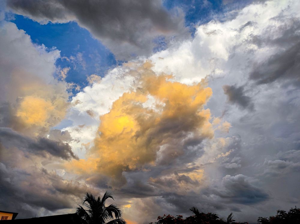 Photograph by Souradeep Chakraborty