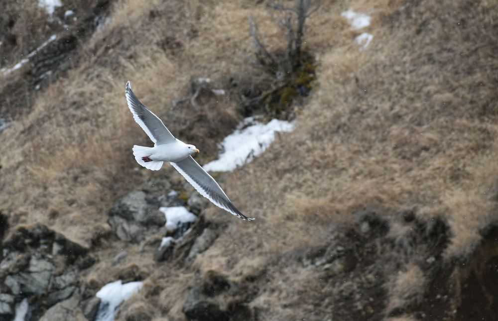 Photograph by Андрей Романов