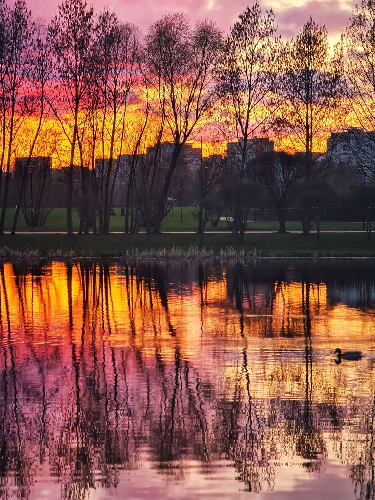 Photograph by Екатерина Золотых