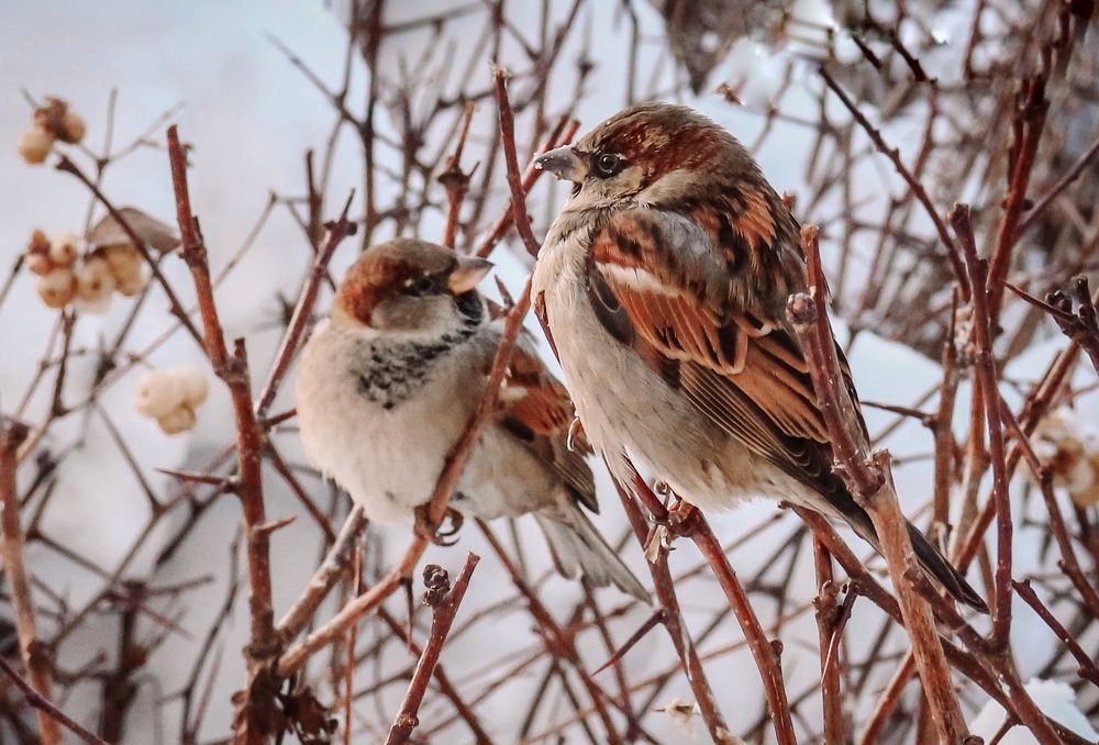 Photograph by Дмитрий Фадеев