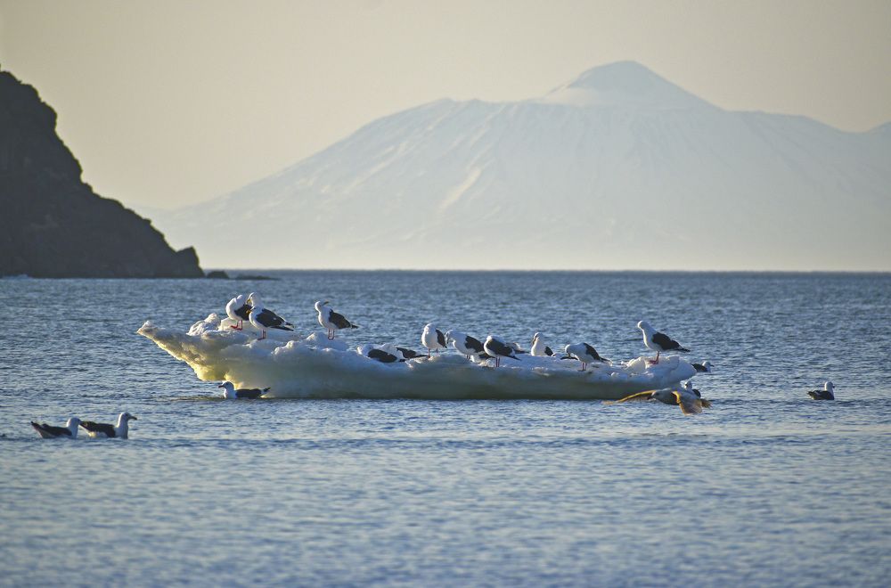 Photograph by Андрей Романов