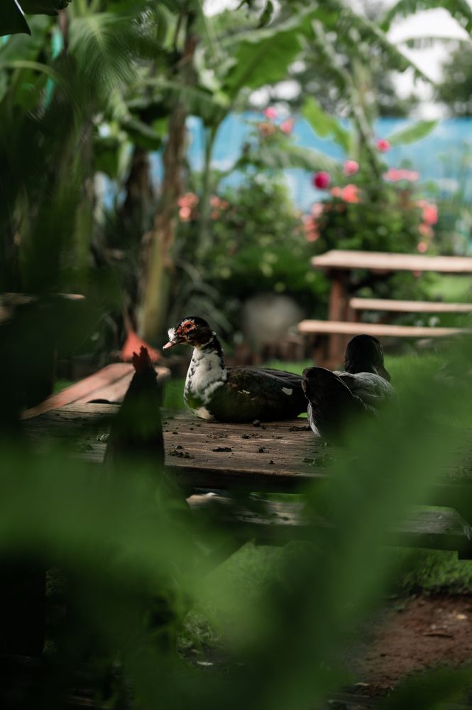 Photograph by Zandri Gillespie