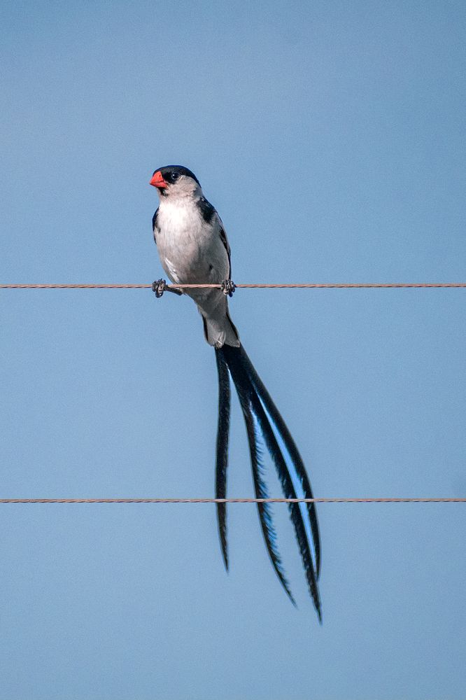 Photograph by Zandri Gillespie