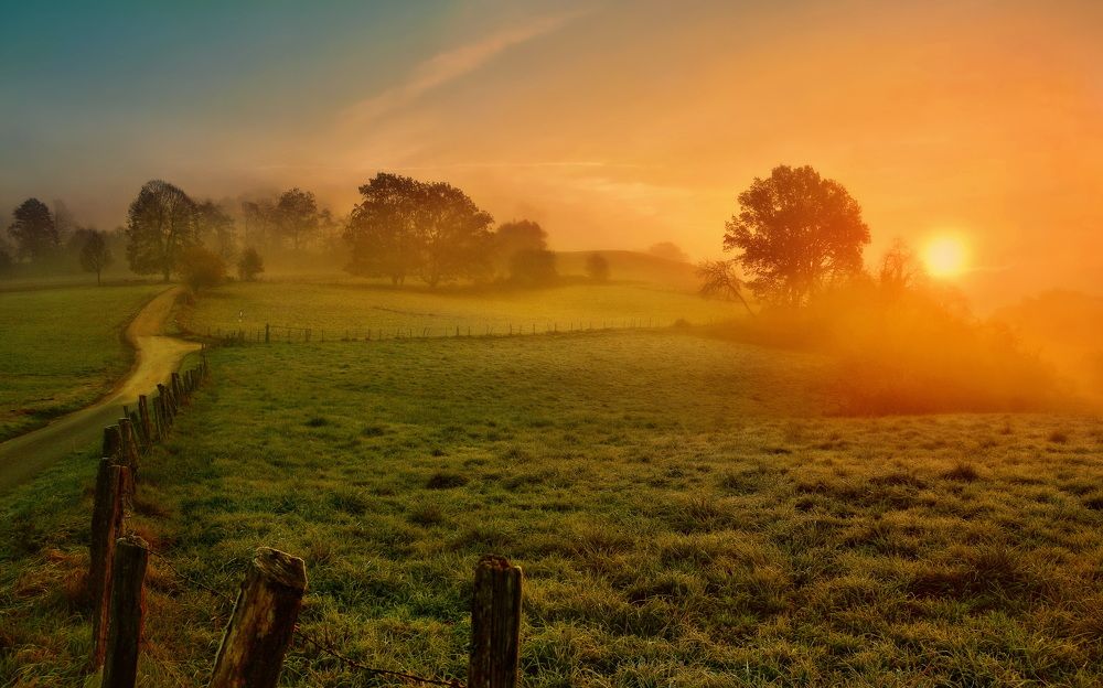 Photograph by Elena Wymann