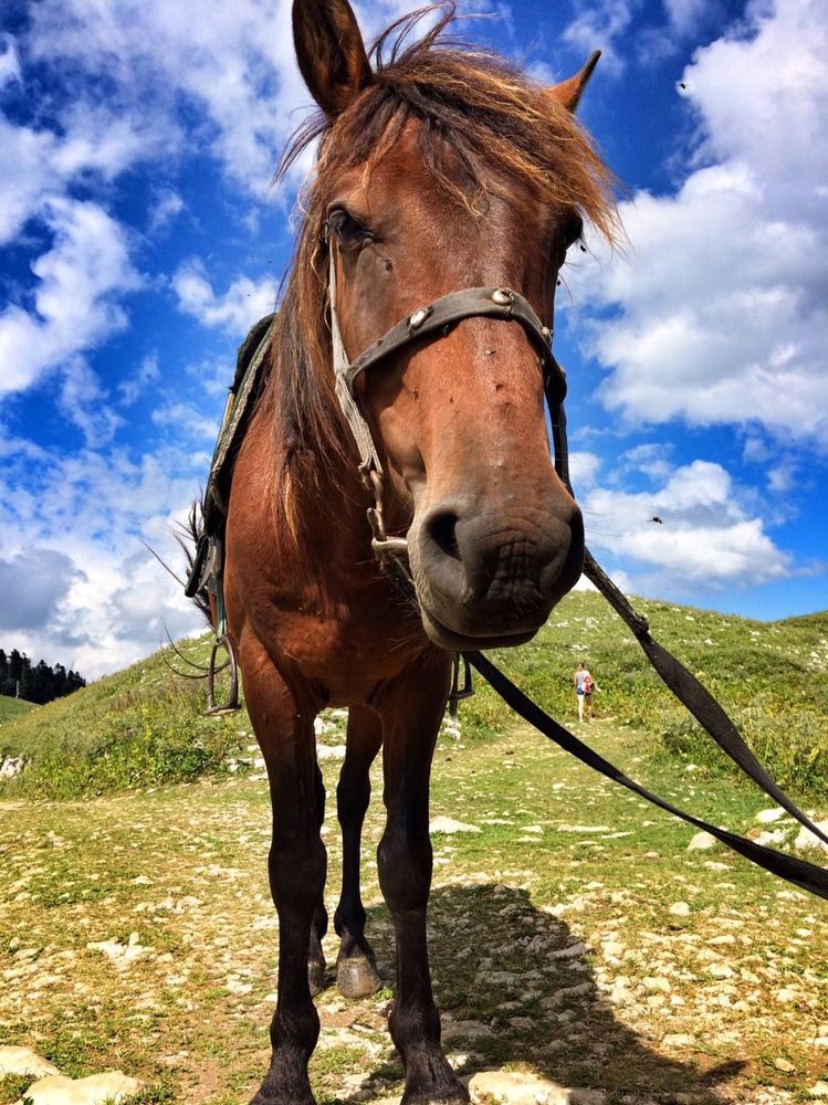 Photograph by Natalya Vasilenko